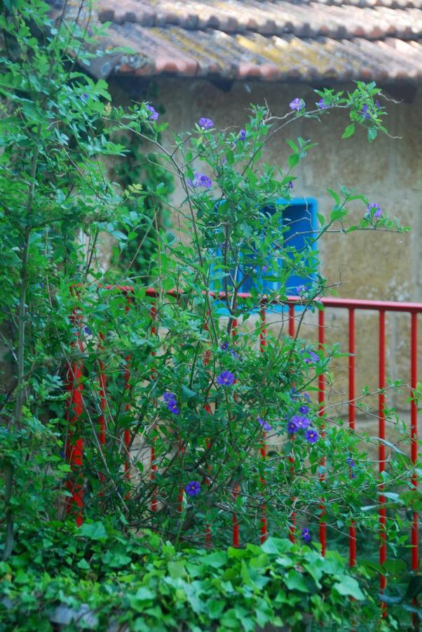 Hotel Les Volets Bleus Provence Salon-de-Provence Exterior foto